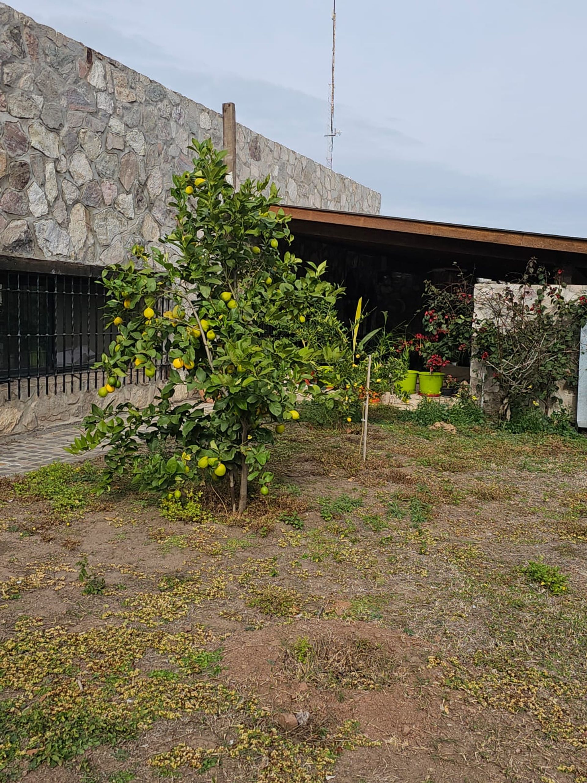 Fotografía de Frentes y Fachadas correspondiente a Casa en Barrio Colon, La Granja.