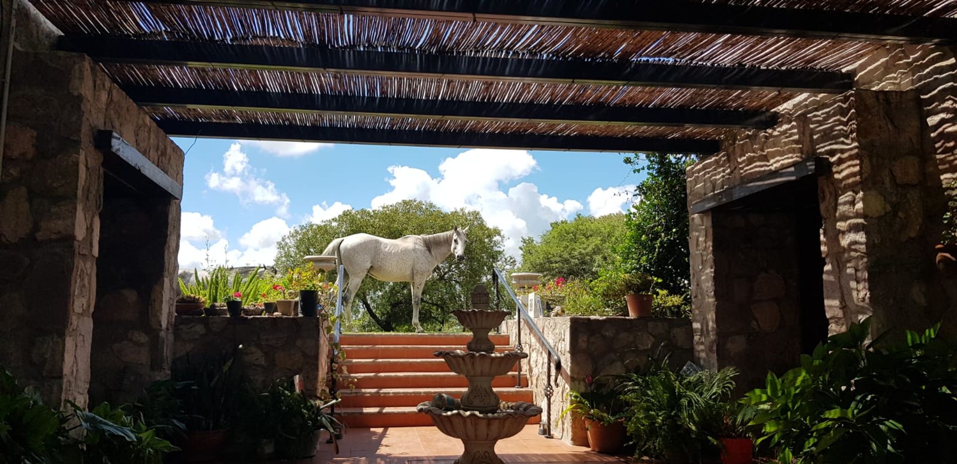 Fotografía de Patios y Exteriores correspondiente a Casa en Barrio Colon, La Granja.