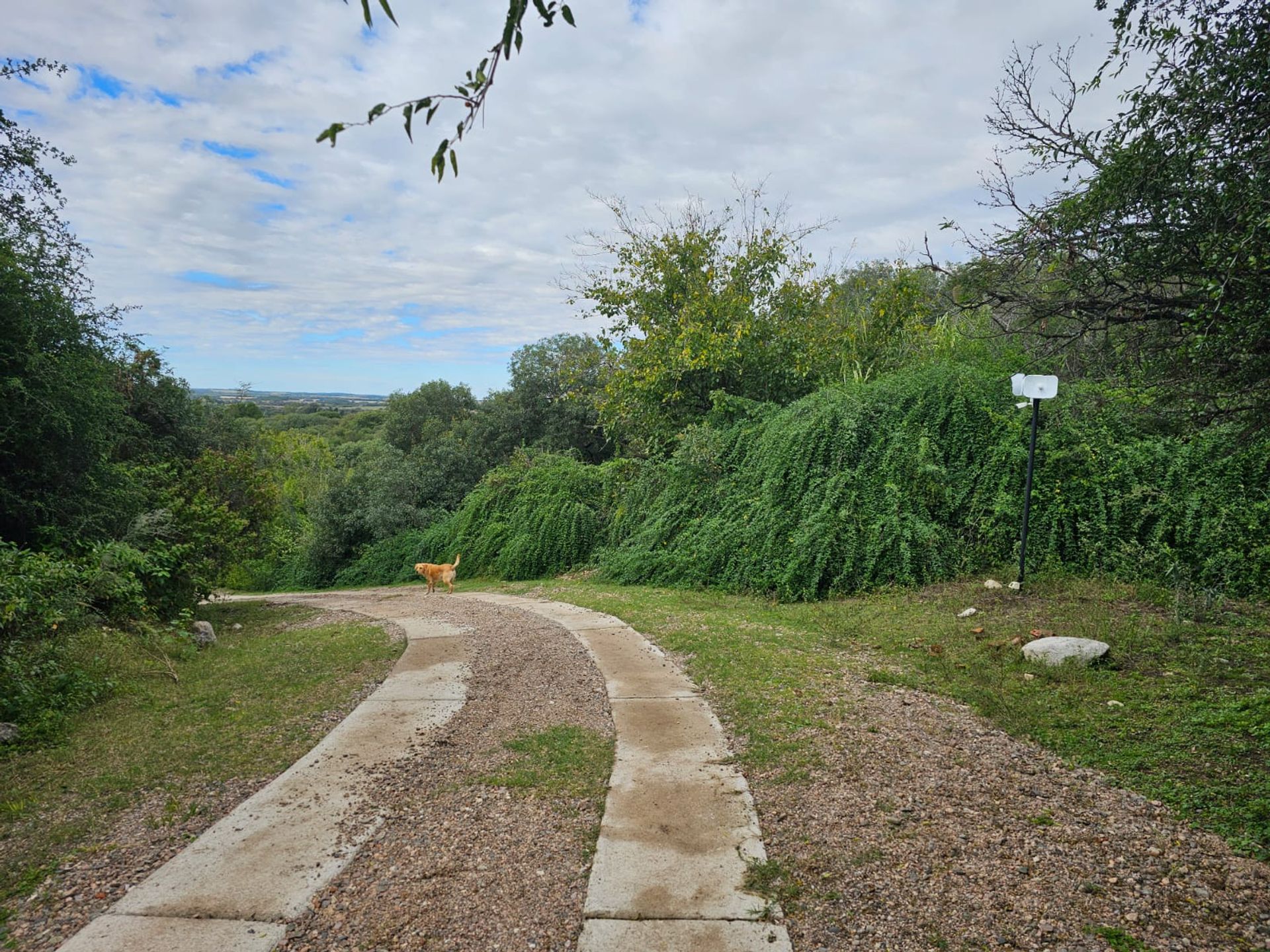 Fotografía de Patios y Exteriores correspondiente a Casa en Barrio Colon, La Granja.