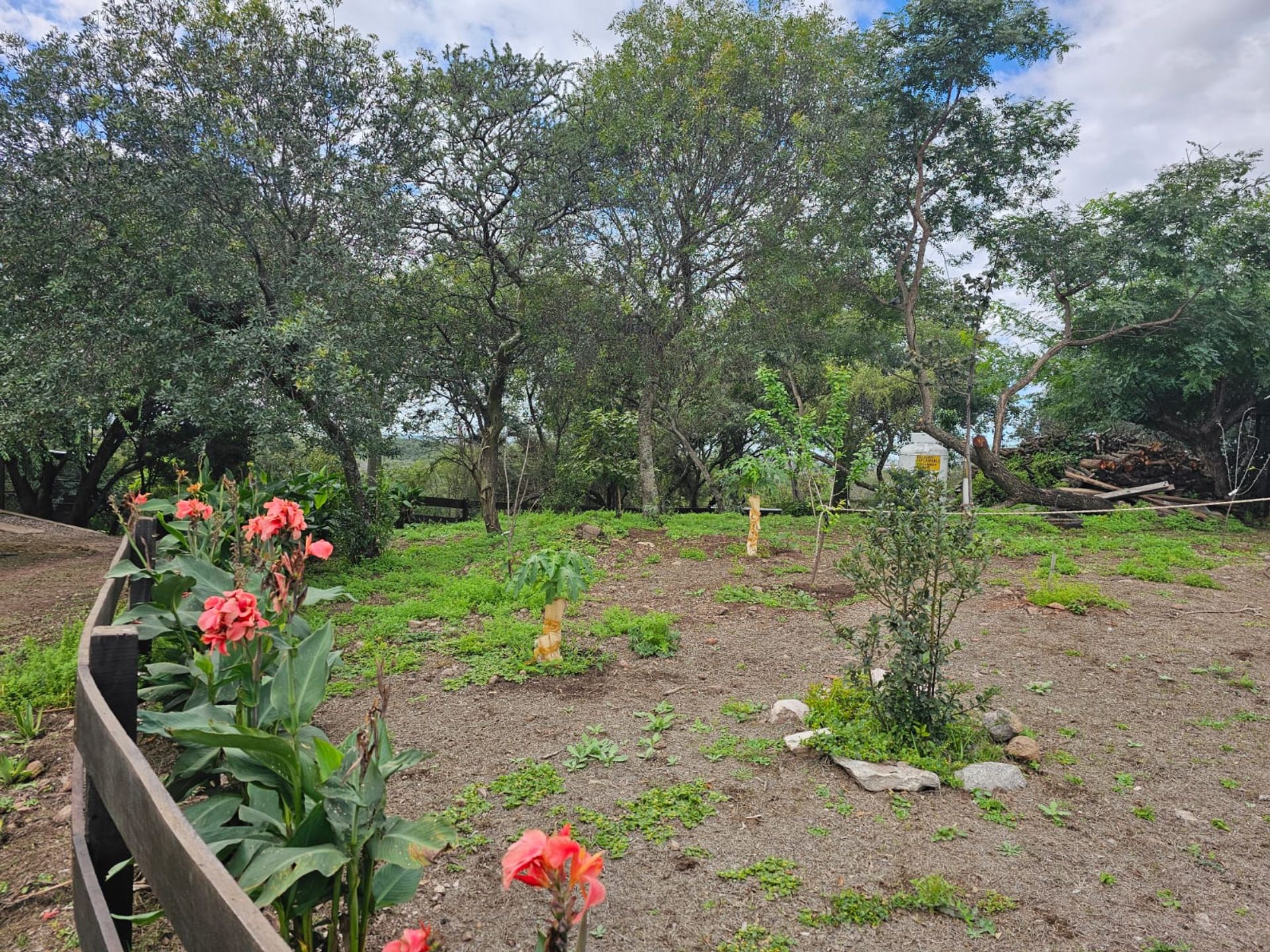 Fotografía de Patios y Exteriores correspondiente a Casa en Barrio Colon, La Granja.