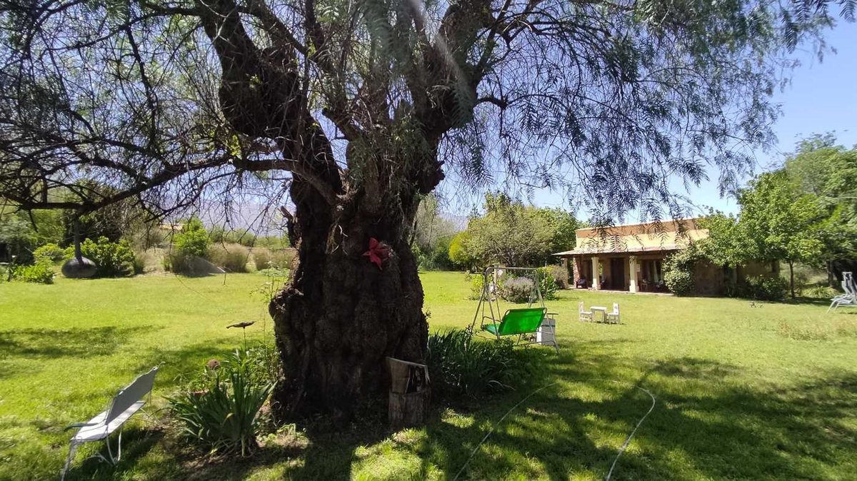Fotografía de Espacios Sociales correspondiente a Quinta en Barrio San Javier, La Poblacion.