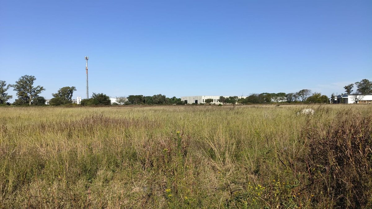 01 - Venta de Terreno Macrolote 6.951 m² Apto Desarrollo Industrial y Logístico | Ruta 19, Malvinas Argentinas, Departamento Colón, Córdoba, Argentina