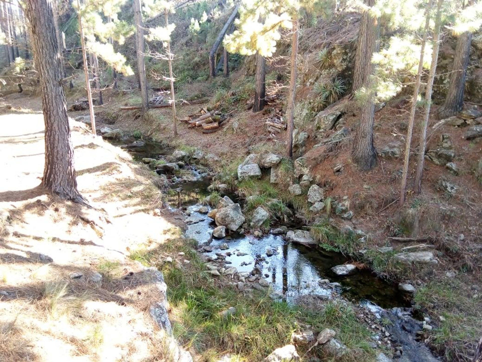 Vista principal de Terreno / Lote en Barrio Yacanto Calamuchita