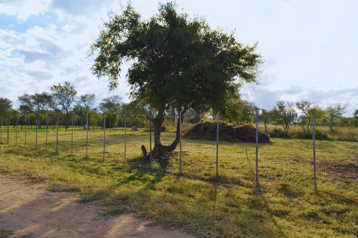Miniatura 3 — Venta Terreno / Lote Calle Pública 100 Santa Rosa de Calamuchita