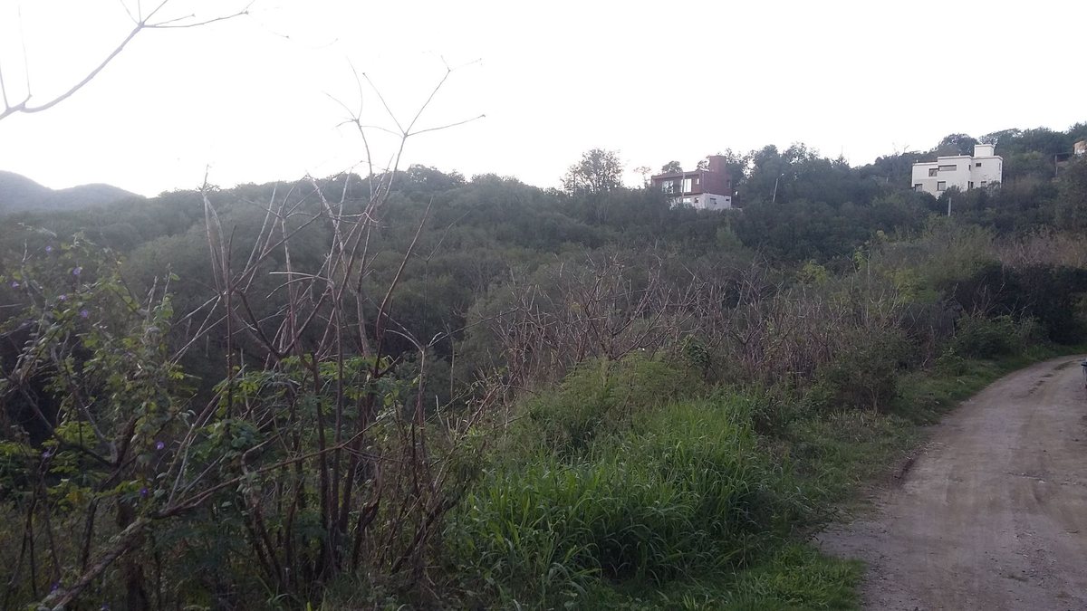 Miniatura 6 — Venta Terreno / Lote La Lucinda