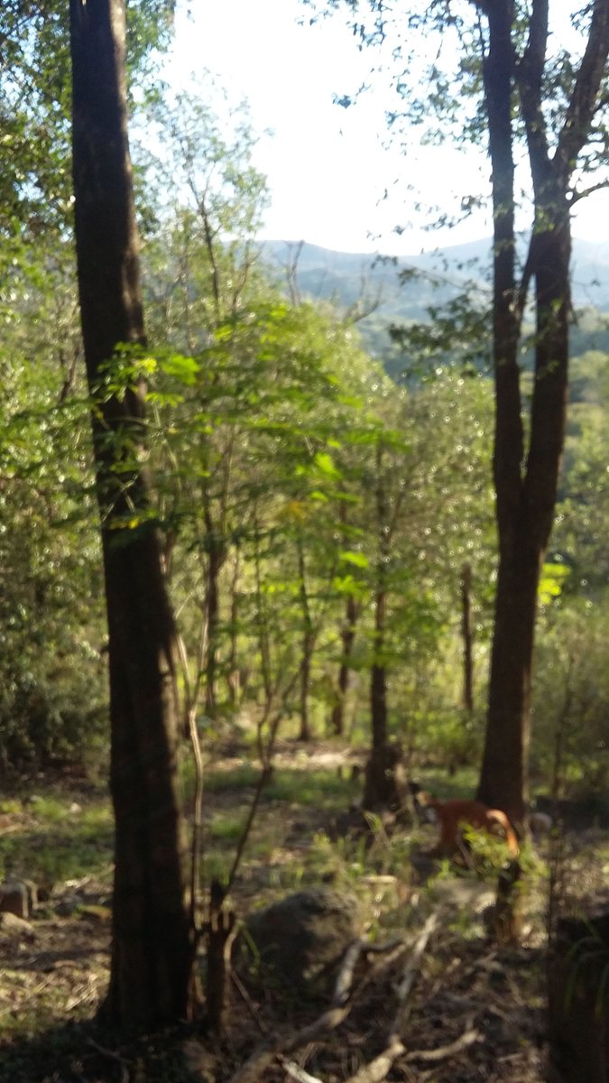 Miniatura 7 — Venta Terreno / Lote La Lucinda