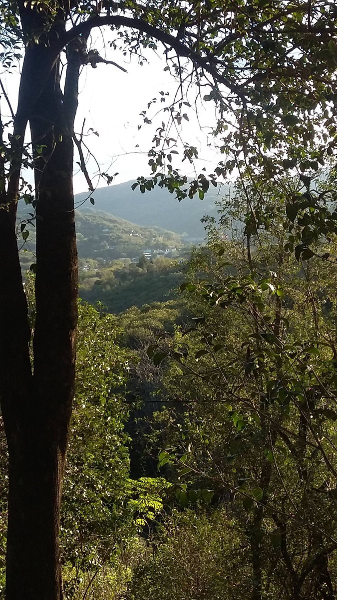 Miniatura 9 — Venta Terreno / Lote La Lucinda
