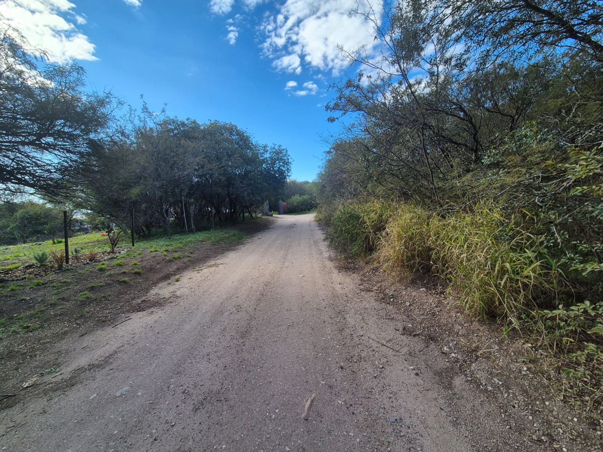 Miniatura 3 — Venta Terreno / Lote Siempreviva S/N Colinas de La Granja