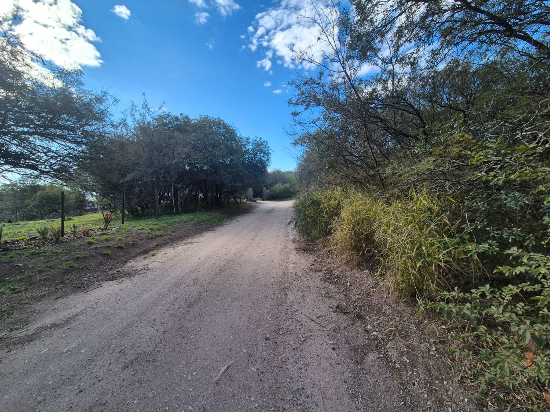 Miniatura 4 — Venta Terreno / Lote Siempreviva S/N Colinas de La Granja