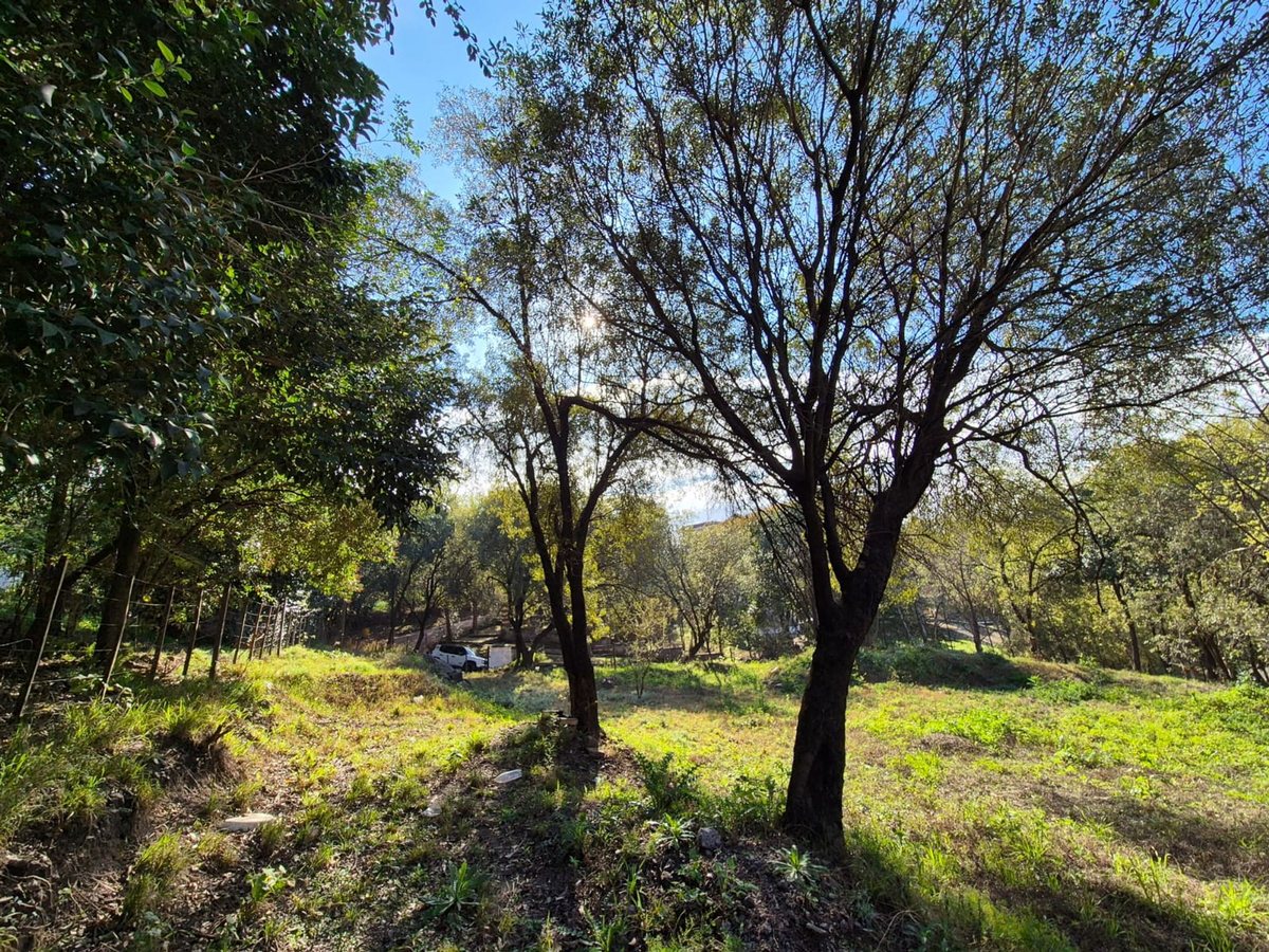 Miniatura 3 — Venta Terreno / Lote Castillo Monserrat