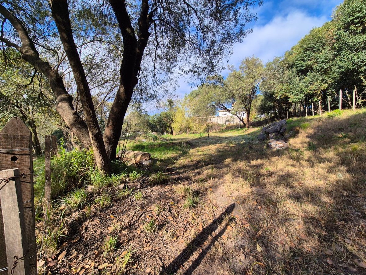 Miniatura 5 — Venta Terreno / Lote Castillo Monserrat