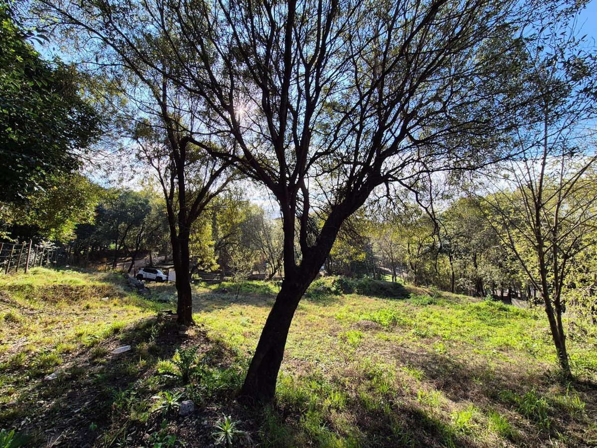 Miniatura 17 — Venta Terreno / Lote Castillo Monserrat