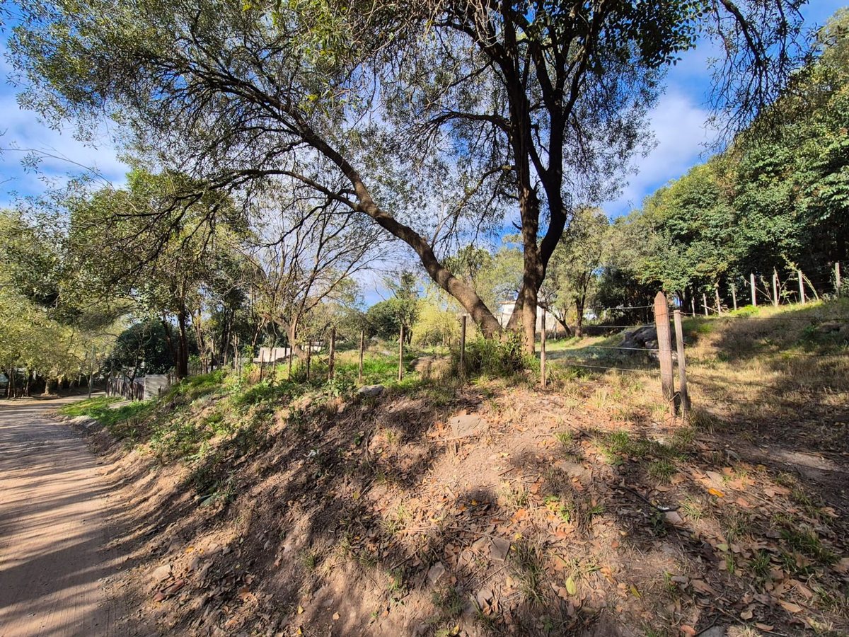 Miniatura 13 — Venta Terreno / Lote Castillo Monserrat