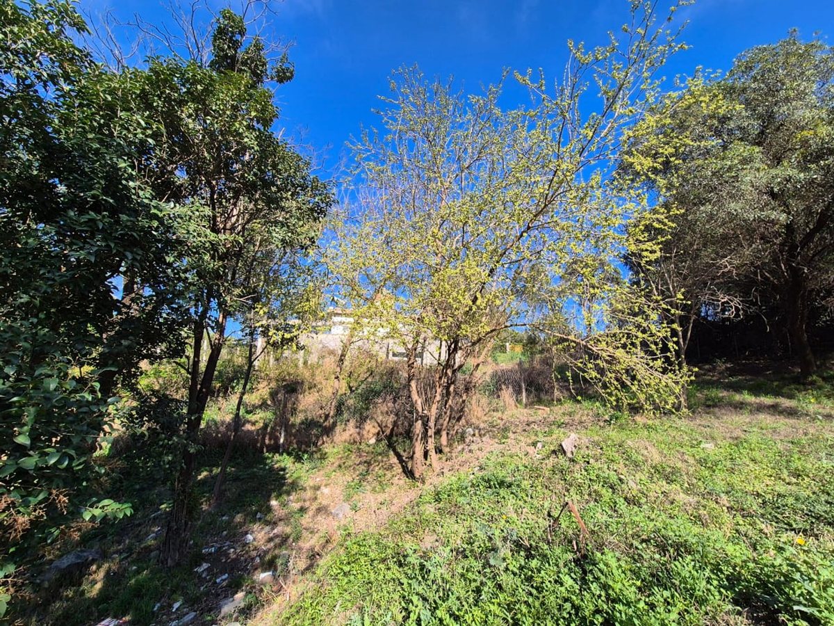 Miniatura 14 — Venta Terreno / Lote Castillo Monserrat