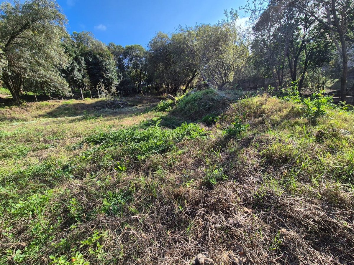 Miniatura 6 — Venta Terreno / Lote Castillo Monserrat