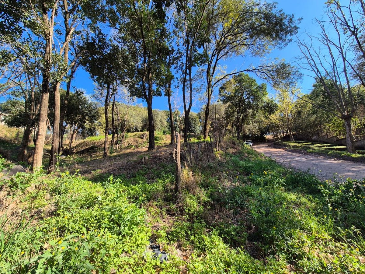 Miniatura 10 — Venta Terreno / Lote Castillo Monserrat