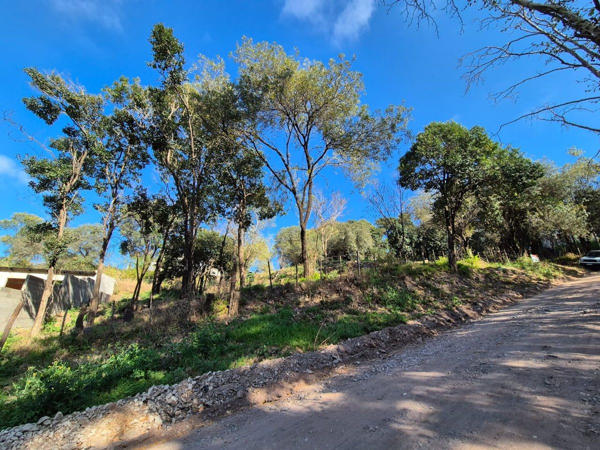Miniatura 9 — Venta Terreno / Lote Castillo Monserrat
