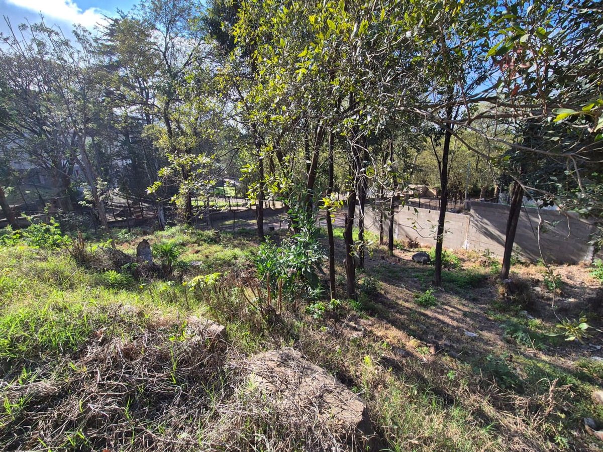 Miniatura 11 — Venta Terreno / Lote Castillo Monserrat