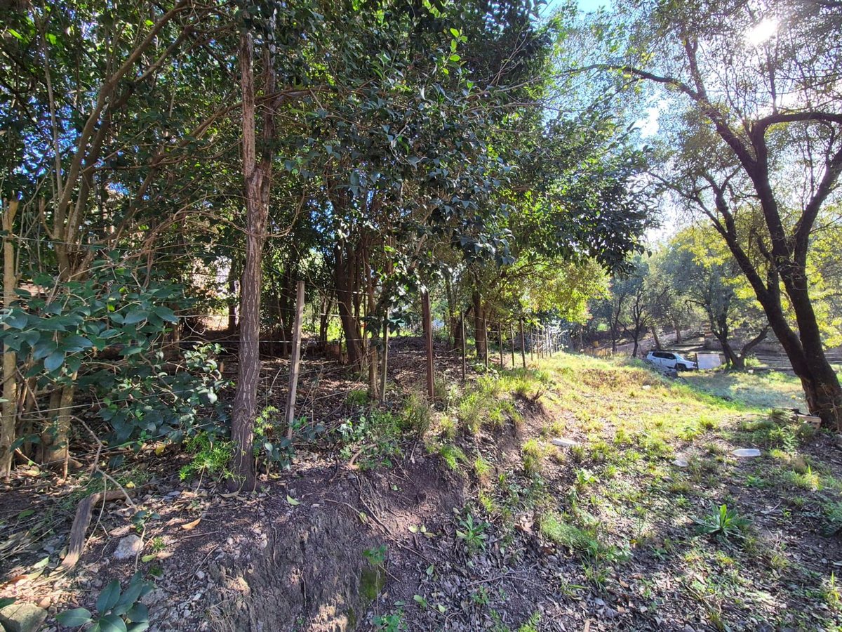 Miniatura 16 — Venta Terreno / Lote Castillo Monserrat