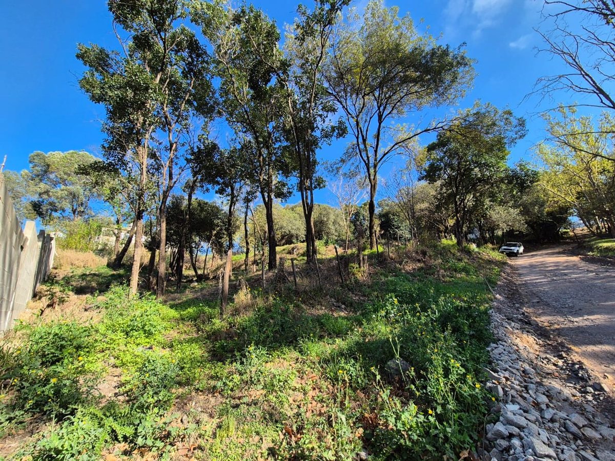 Miniatura 12 — Venta Terreno / Lote Castillo Monserrat