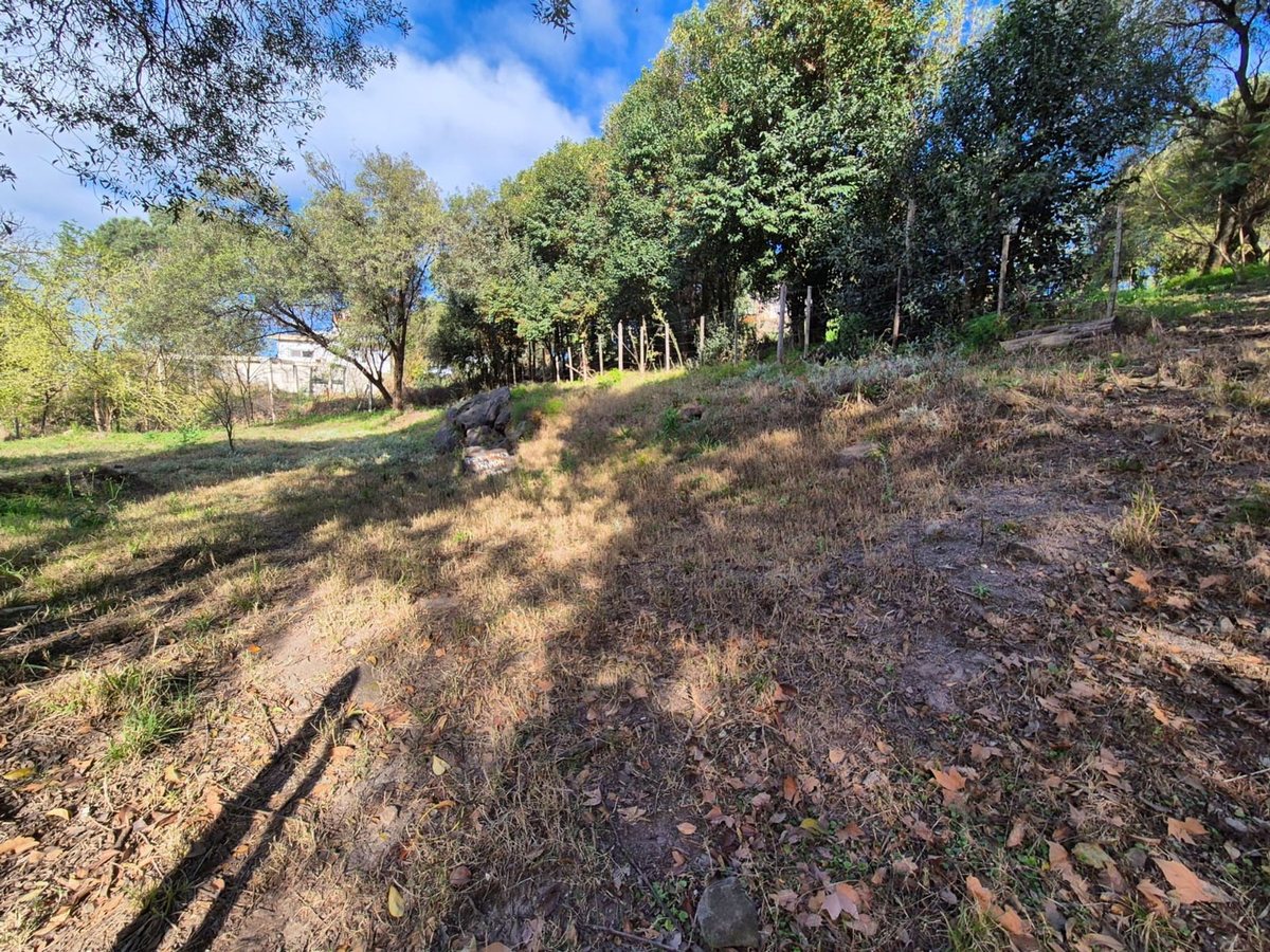 Miniatura 15 — Venta Terreno / Lote Castillo Monserrat