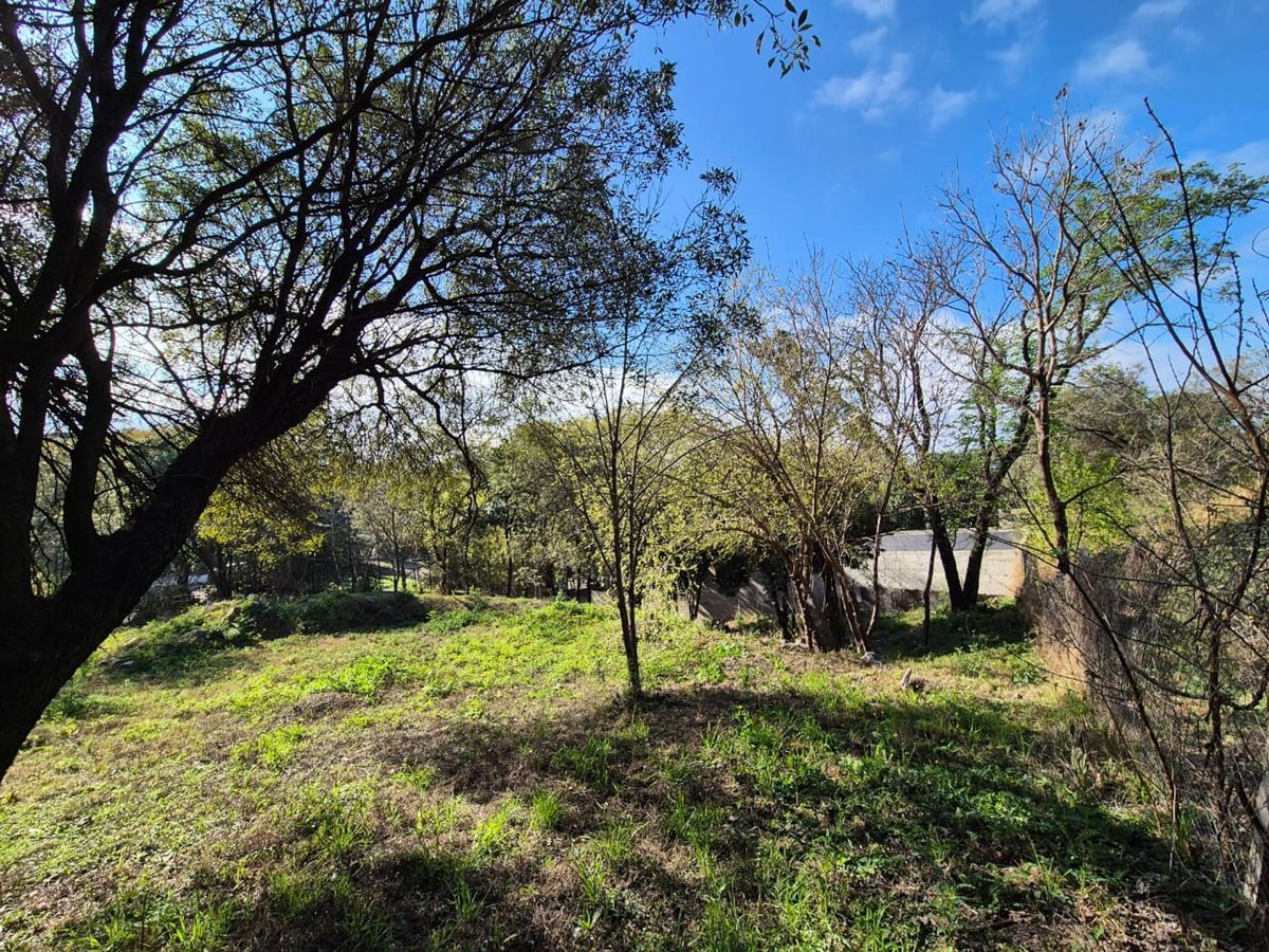 Miniatura 2 — Venta Terreno / Lote Castillo Monserrat