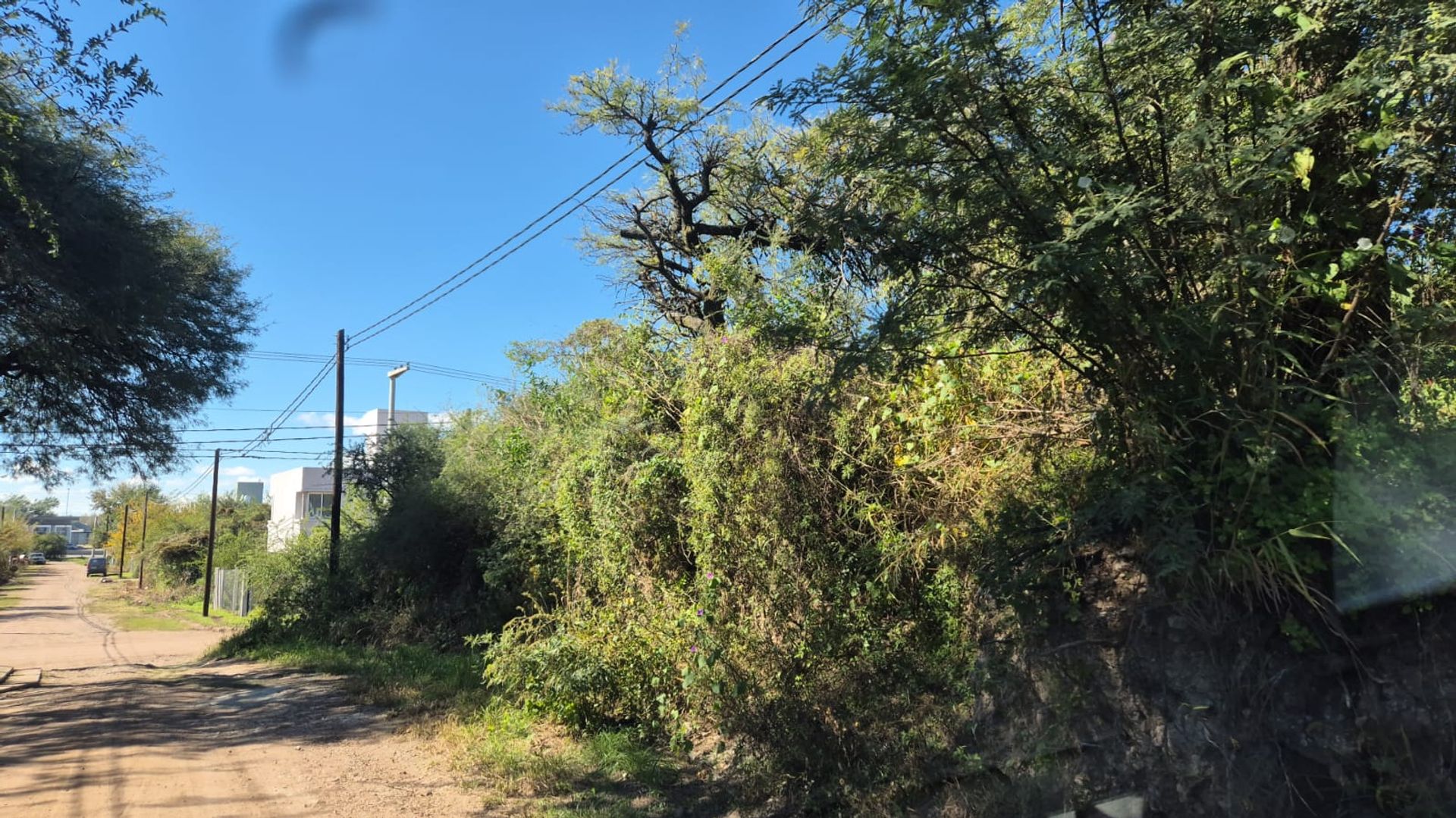 Miniatura 5 — Venta Terreno / Lote Calle Publica S/N Prossur