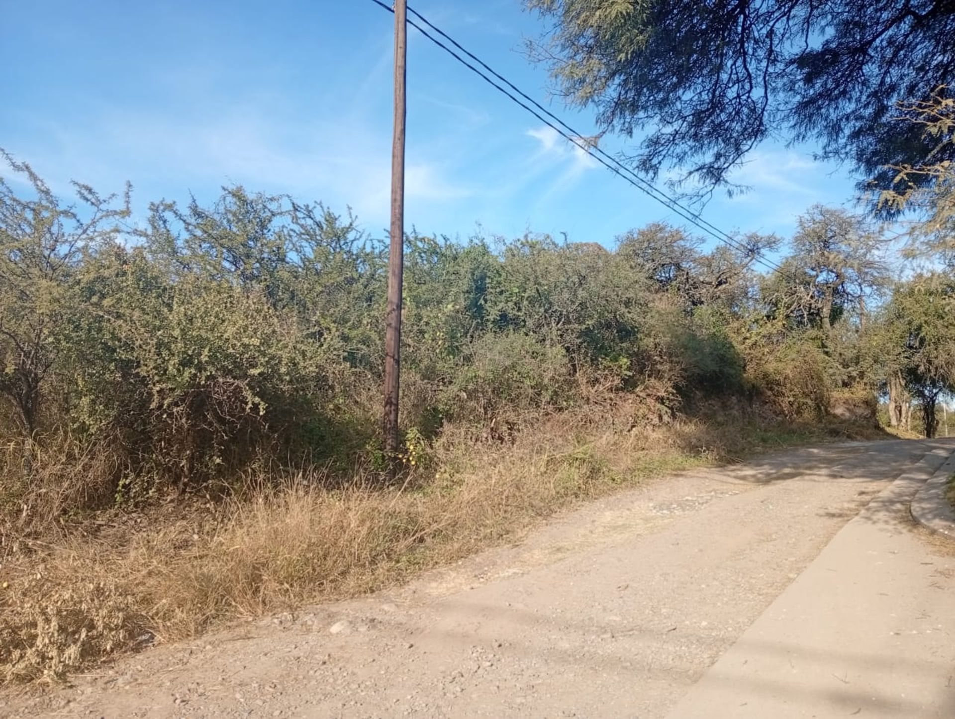 Miniatura 8 — Venta Terreno / Lote Calle Publica S/N Prossur