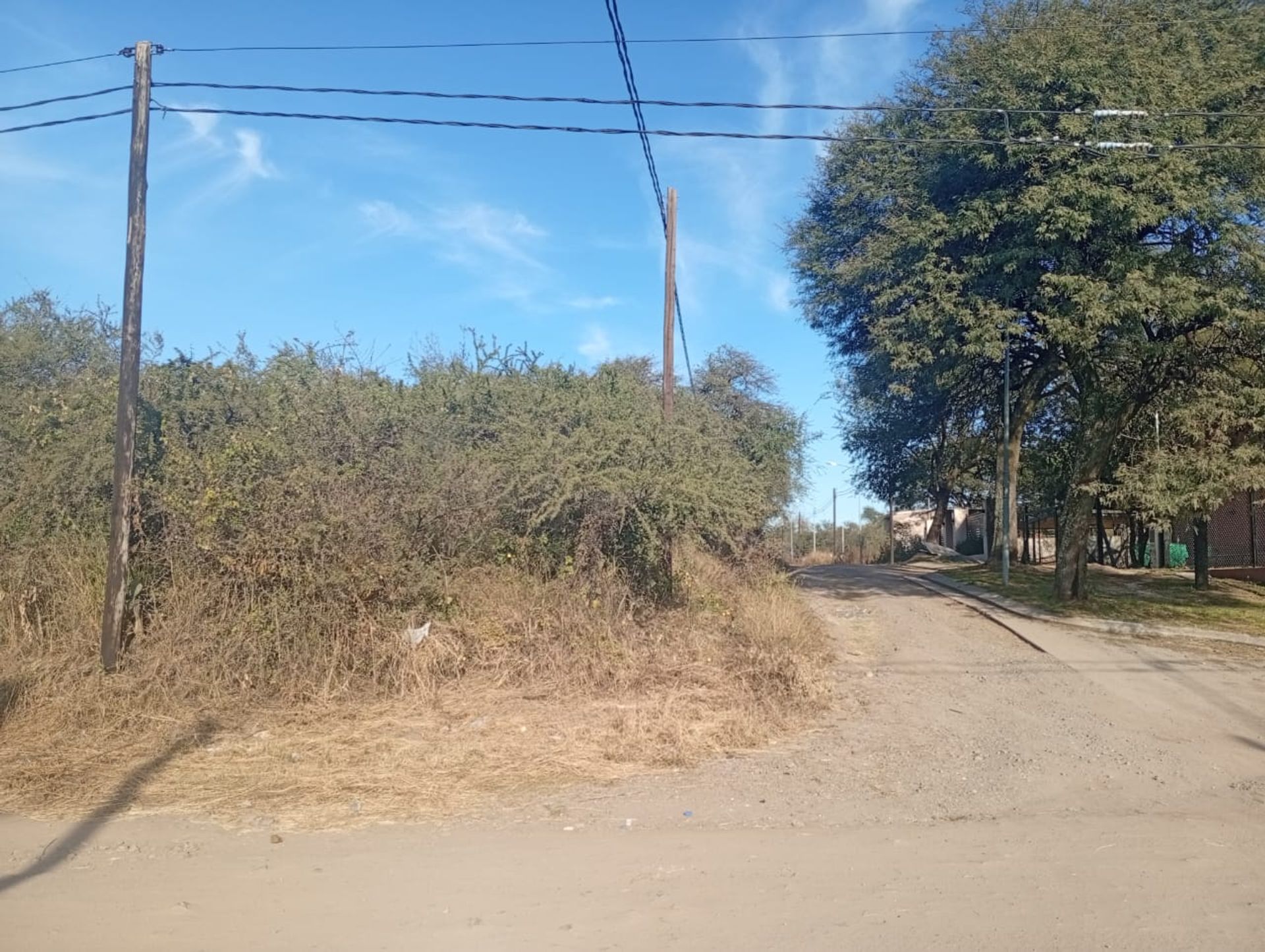 Miniatura 6 — Venta Terreno / Lote Calle Publica S/N Prossur