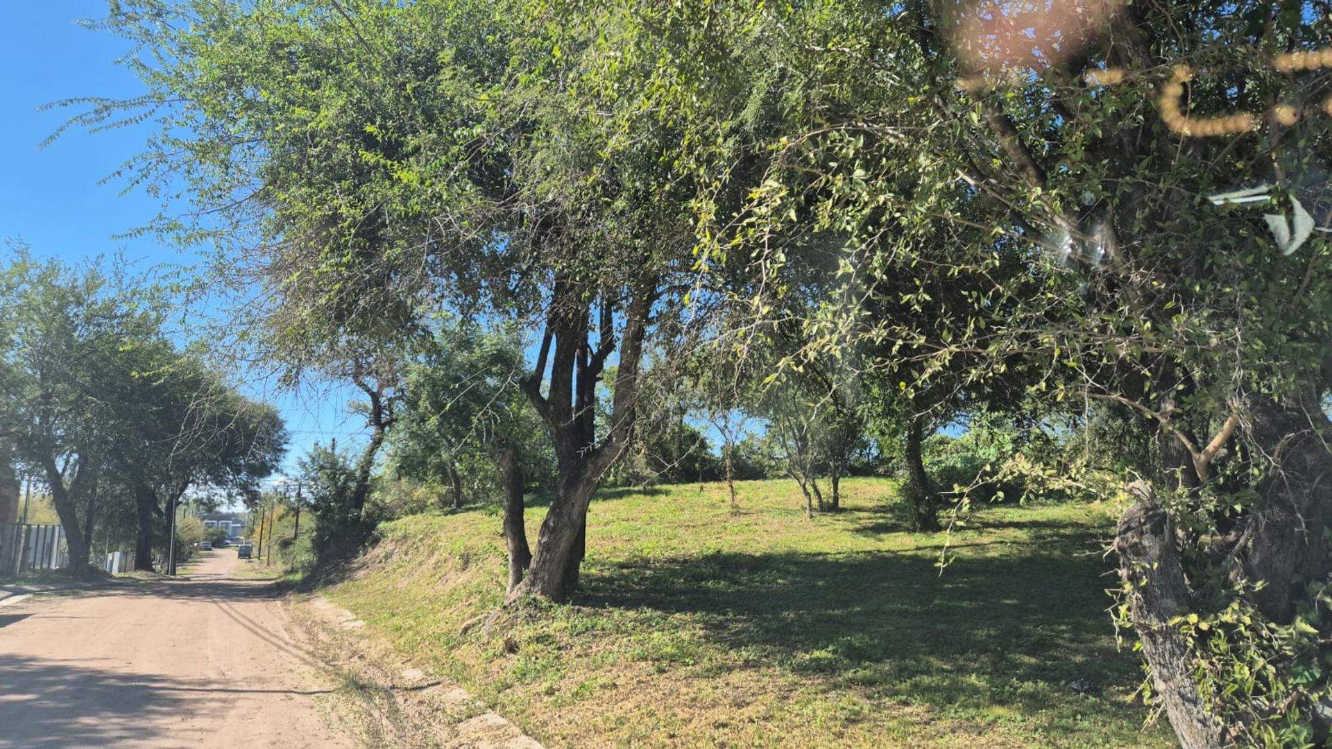 Miniatura 9 — Venta Terreno / Lote Calle Publica S/N Prossur
