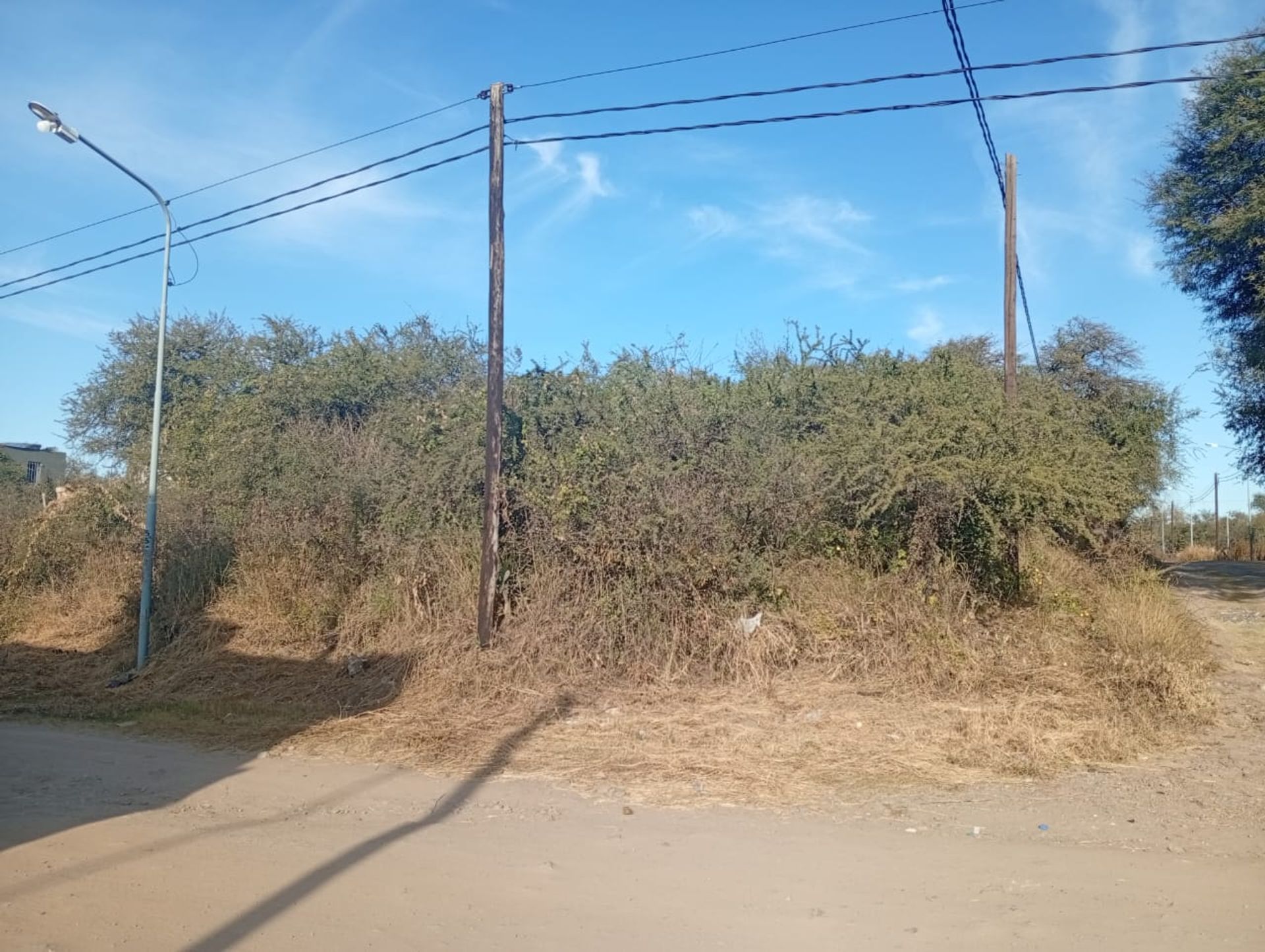 Miniatura 7 — Venta Terreno / Lote Calle Publica S/N Prossur
