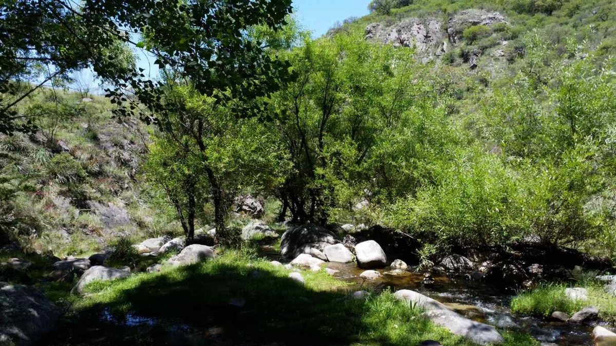 Miniatura 25 — Venta Campo con Arroyo Agua de Oro