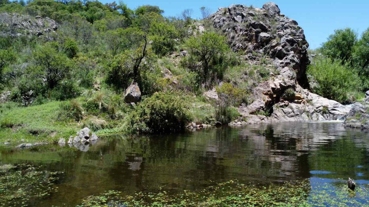 Miniatura 8 — Venta Campo con Arroyo Agua de Oro