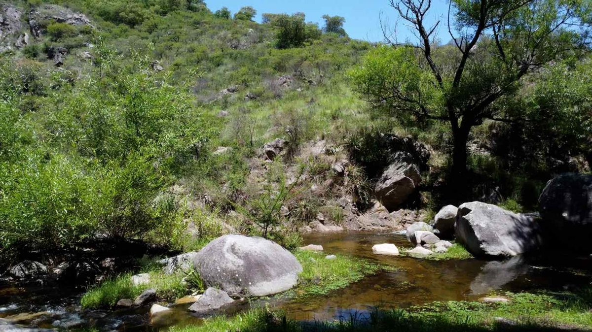 Miniatura 24 — Venta Campo con Arroyo Agua de Oro