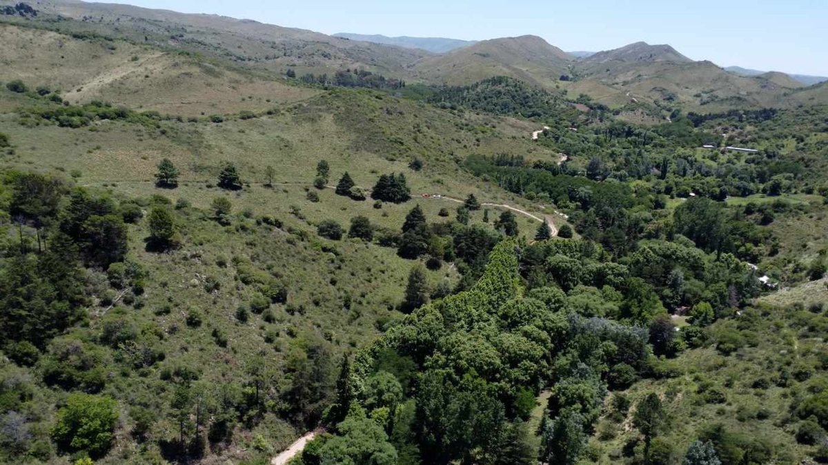 Miniatura 12 — Venta Campo con Arroyo Agua de Oro