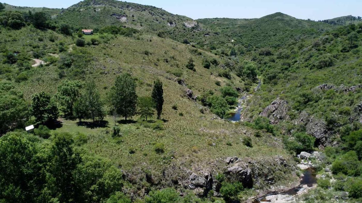 Miniatura 4 — Venta Campo con Arroyo Agua de Oro