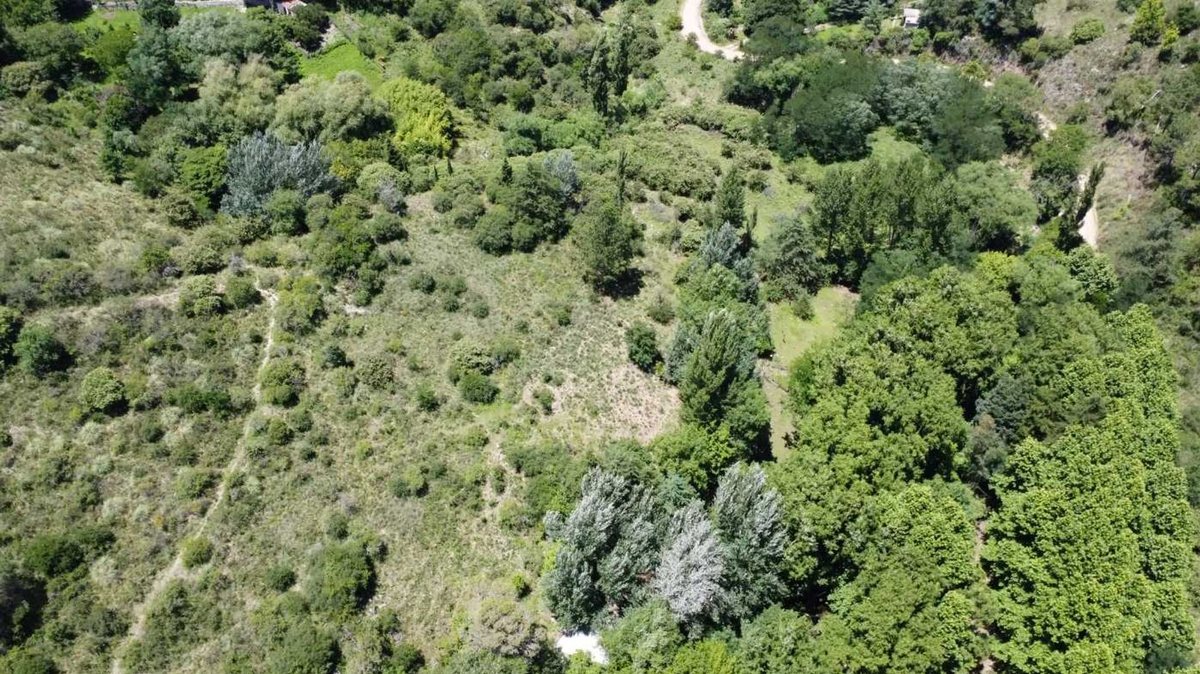 Miniatura 17 — Venta Campo con Arroyo Agua de Oro