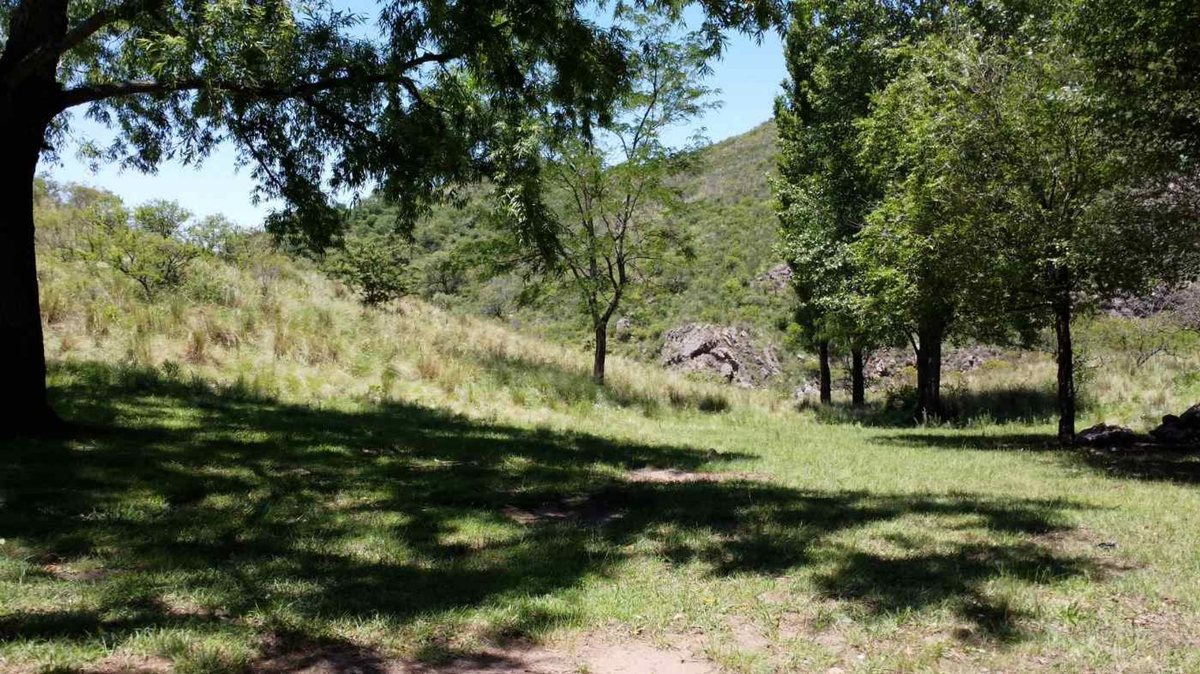 Miniatura 11 — Venta Campo con Arroyo Agua de Oro