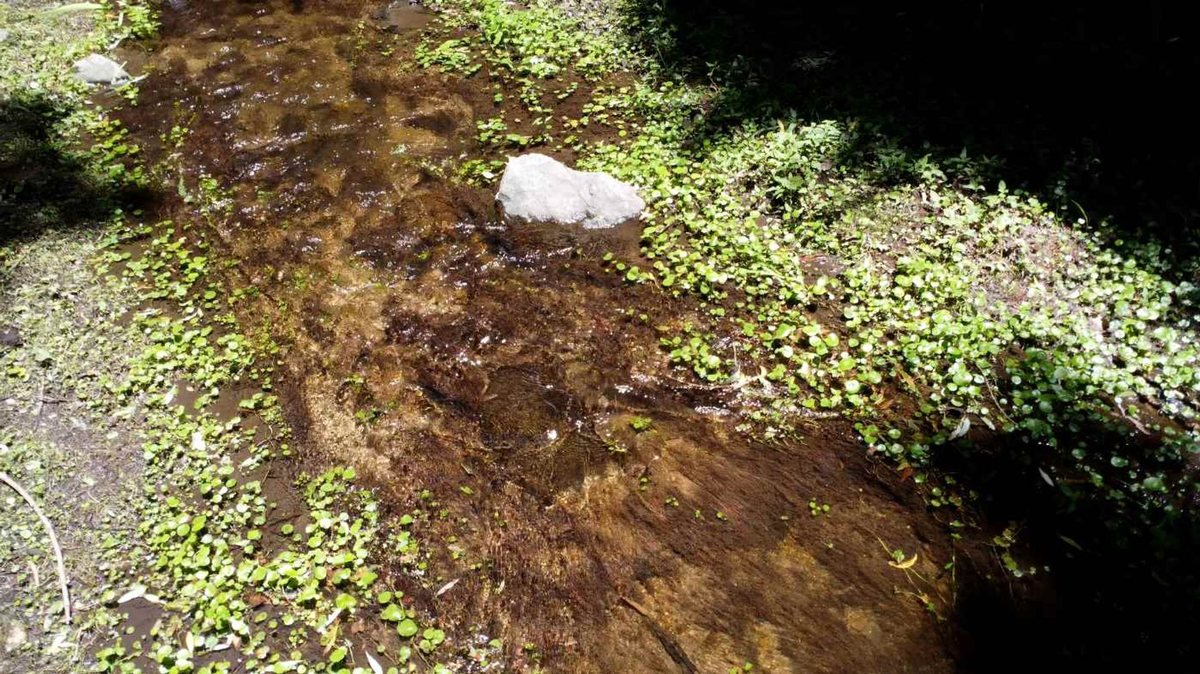 Miniatura 16 — Venta Campo con Arroyo Agua de Oro
