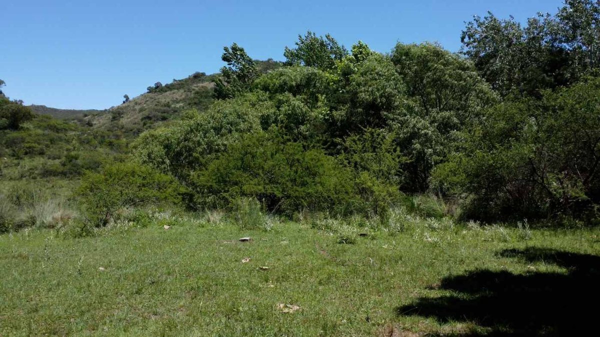 Miniatura 23 — Venta Campo con Arroyo Agua de Oro