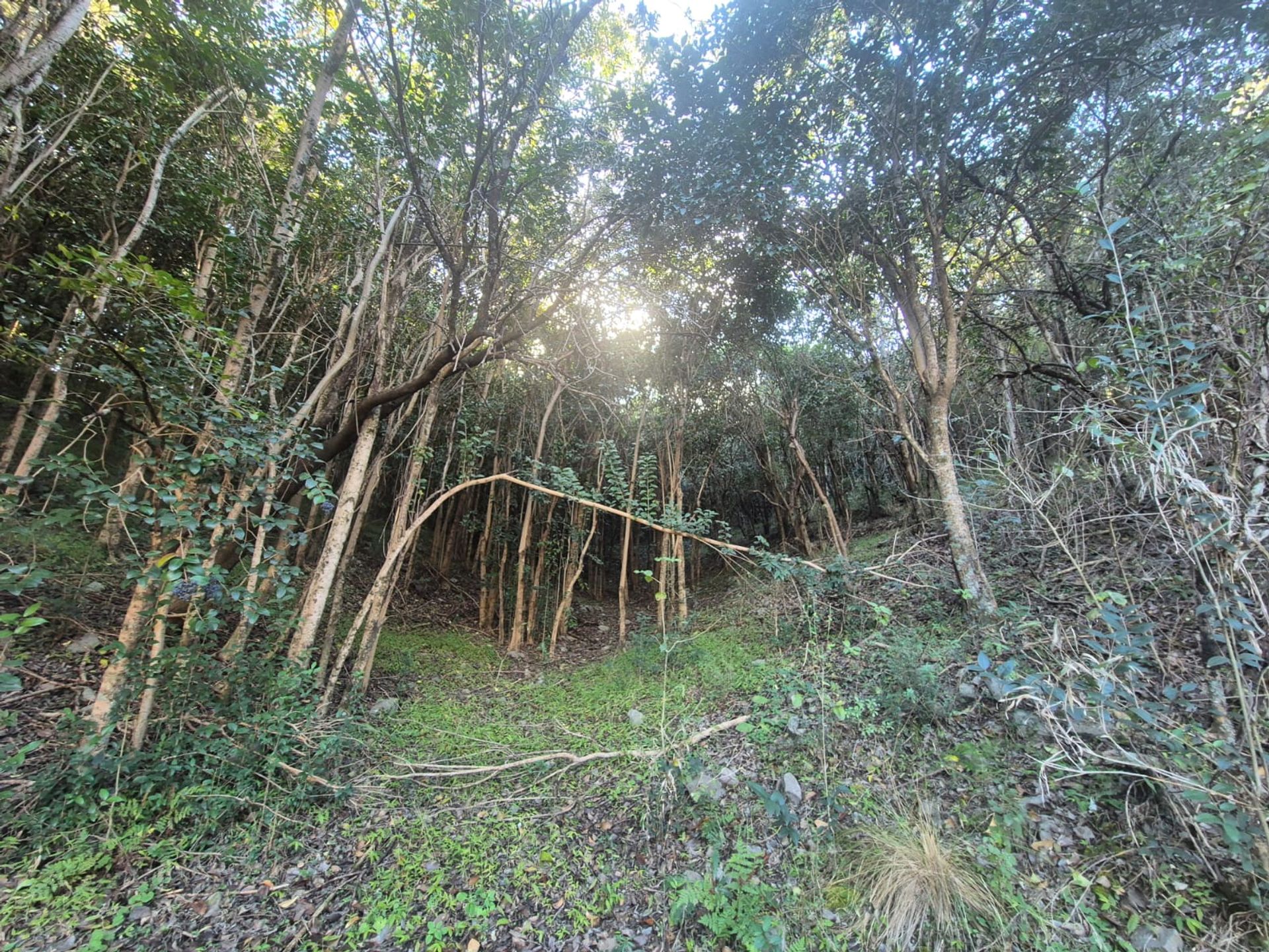 Miniatura 4 — Venta Terreno / Lote Camino a San Marcos S/N Corral de Barrancas