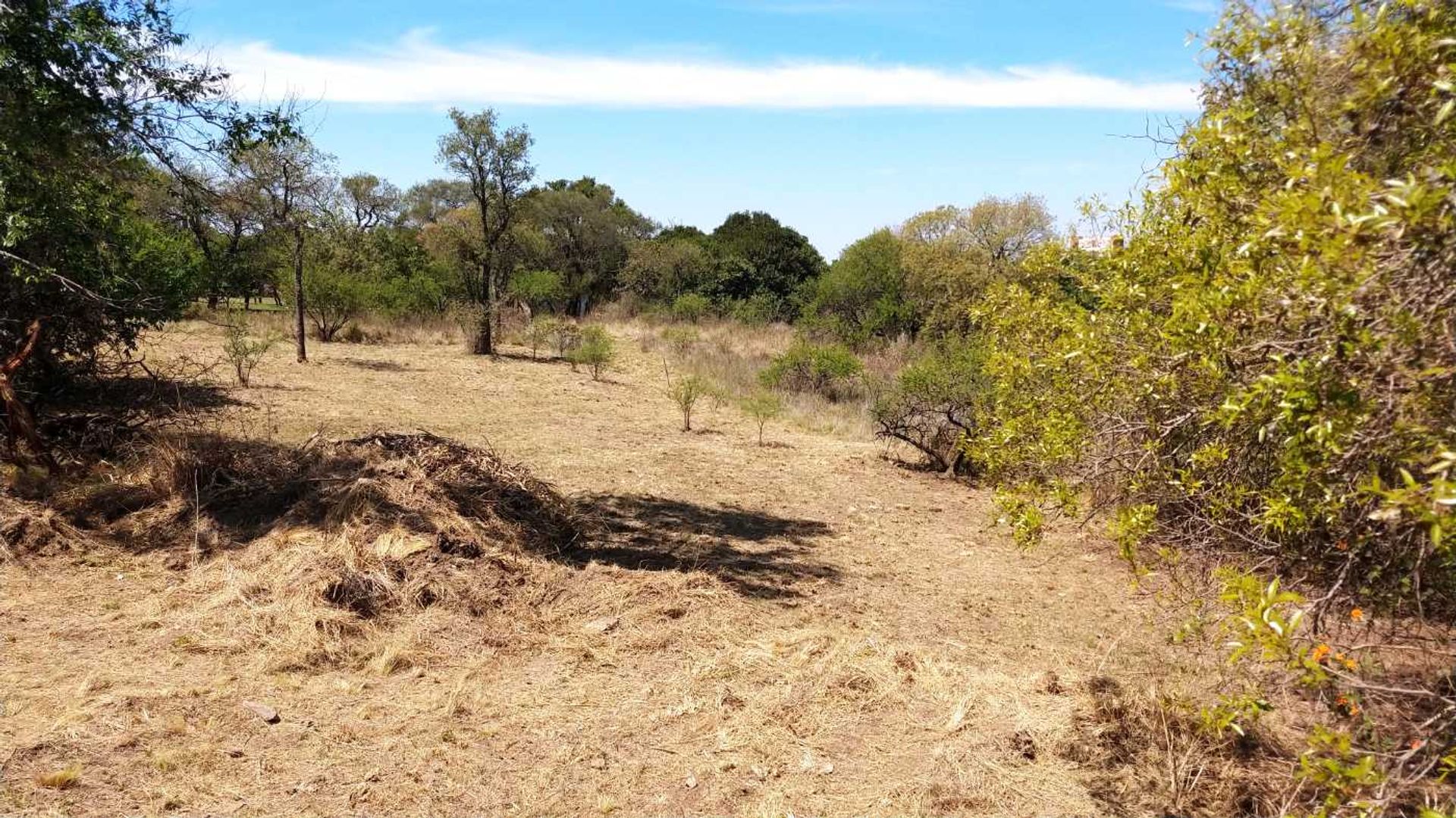 Miniatura 6 — Venta Terreno / Lote Parcela 91 Macrolote V B° los Algarrobos Tierralta S/N Tierralta