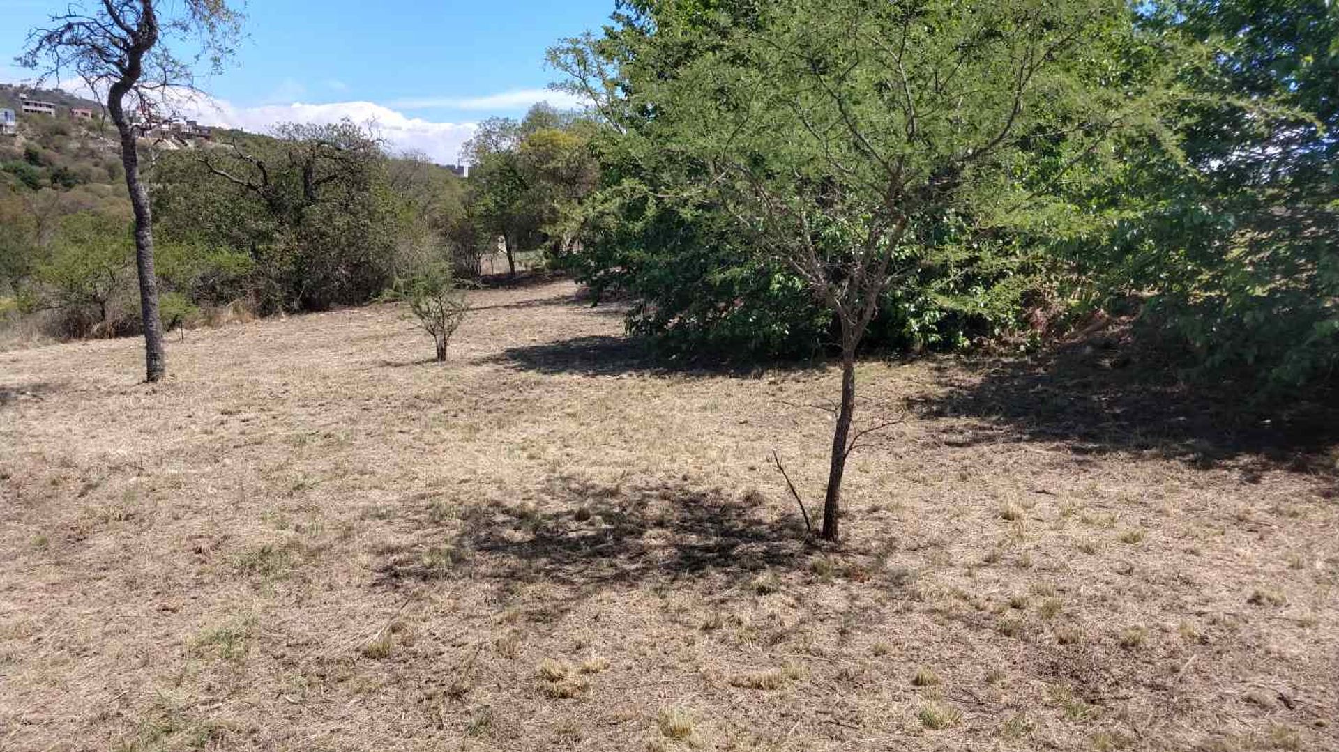 Miniatura 10 — Venta Terreno / Lote Parcela 91 Macrolote V B° los Algarrobos Tierralta S/N Tierralta