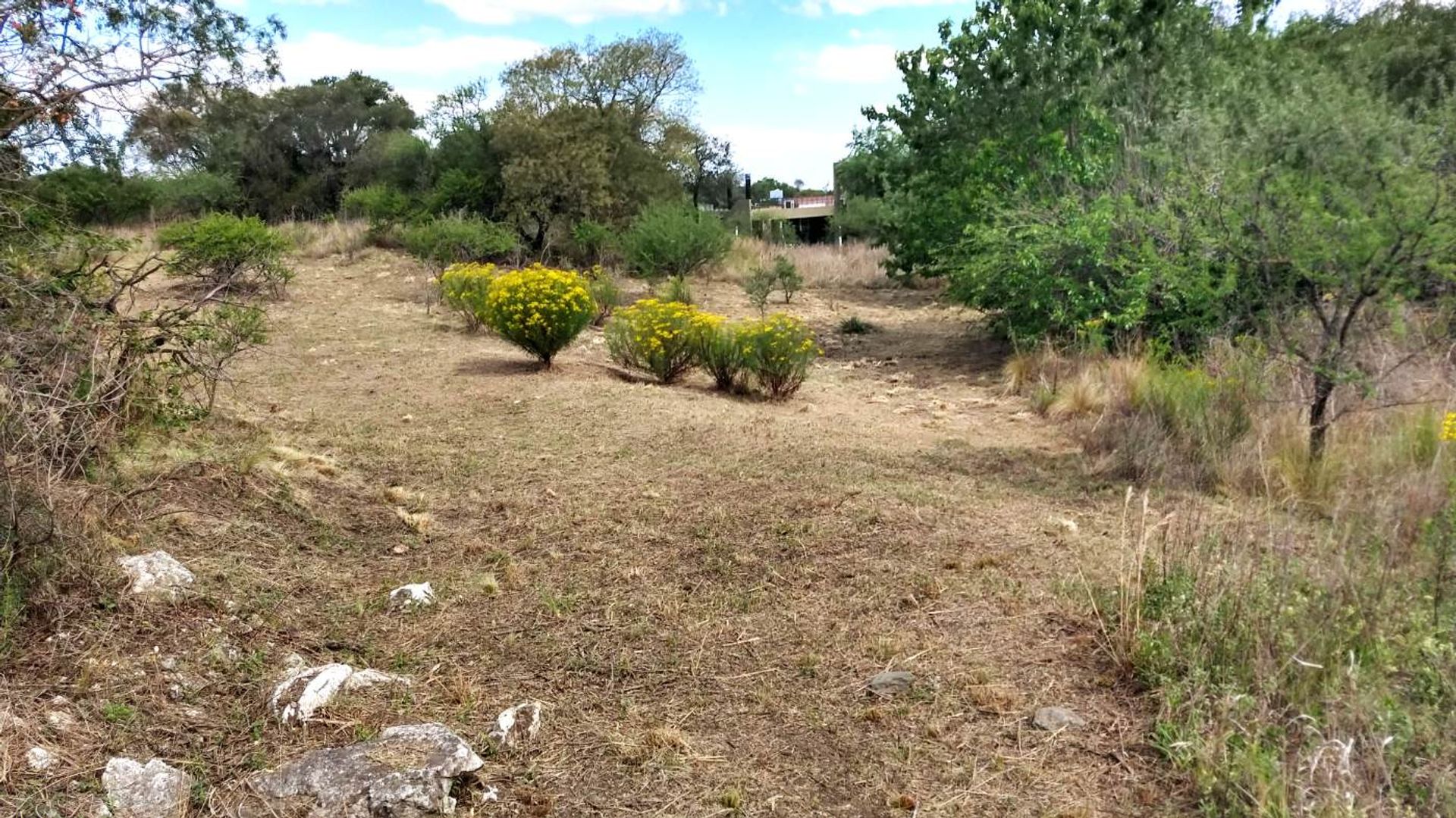 Miniatura 7 — Venta Terreno / Lote Parcela 91 Macrolote V B° los Algarrobos Tierralta S/N Tierralta