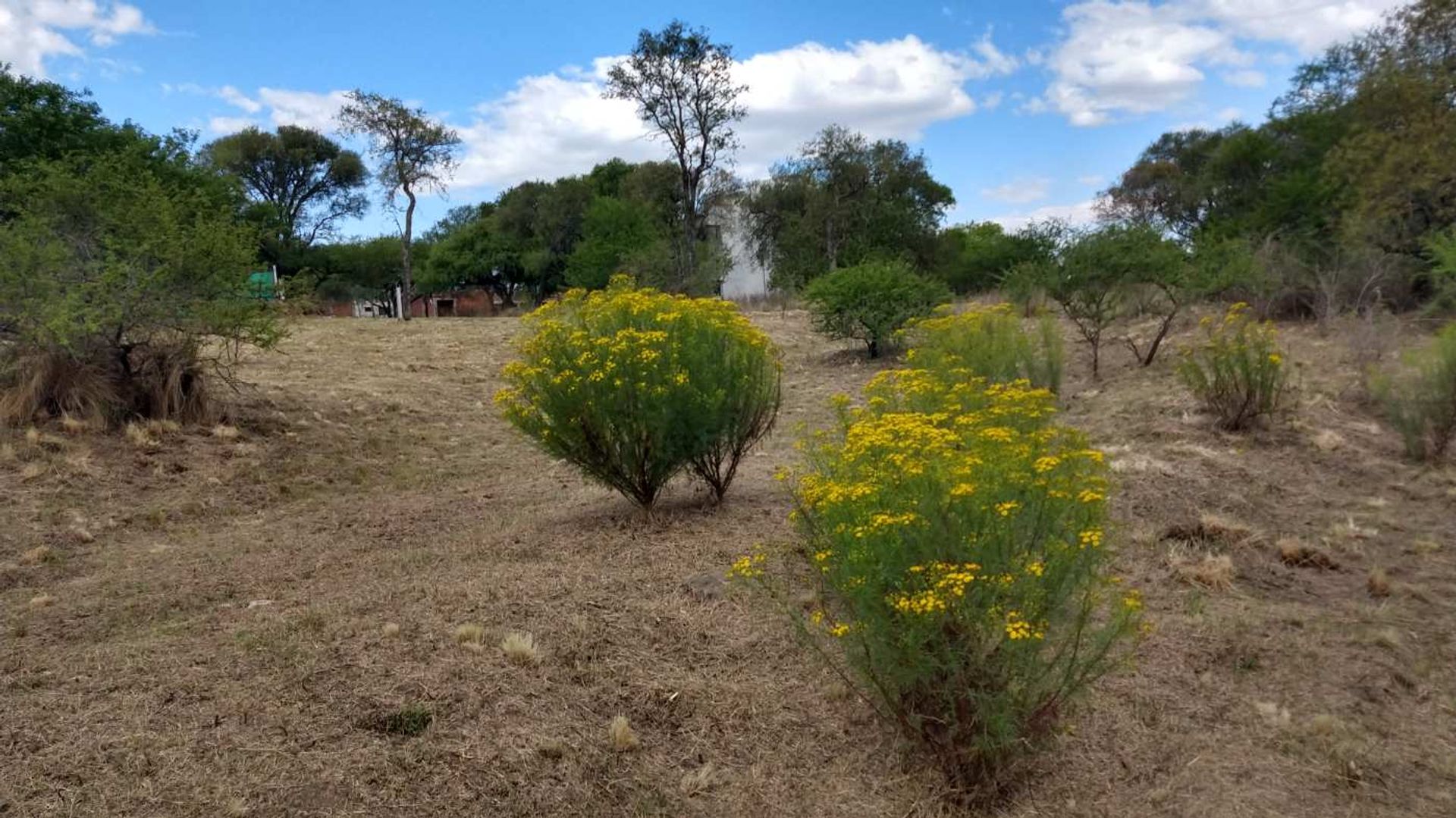 Miniatura 8 — Venta Terreno / Lote Parcela 91 Macrolote V B° los Algarrobos Tierralta S/N Tierralta