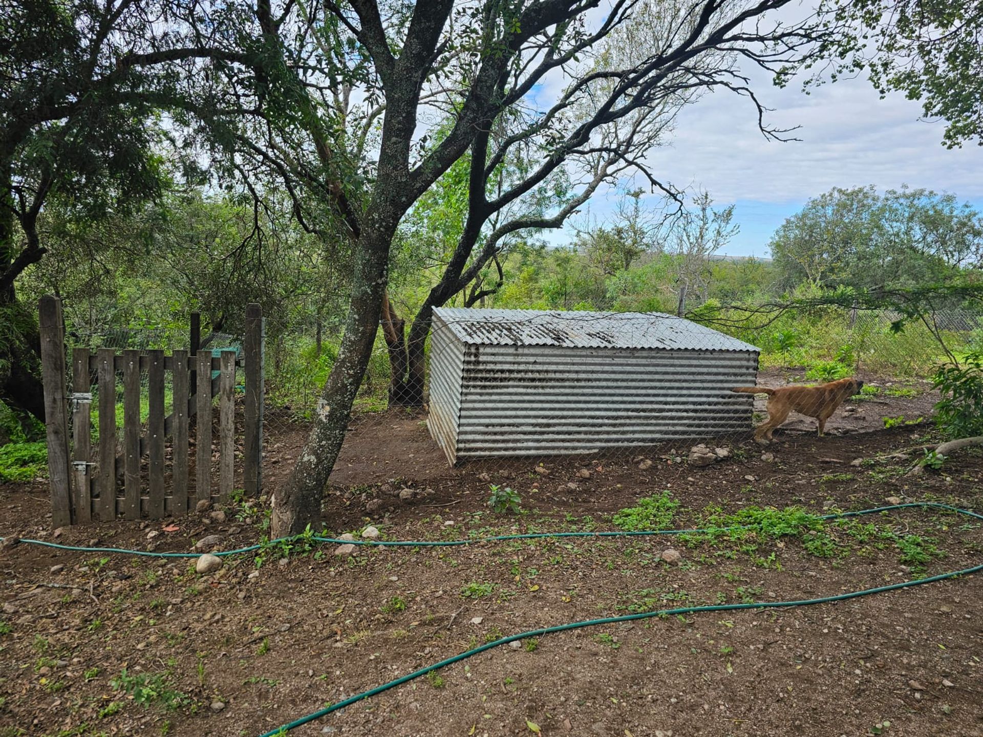 Miniatura 20 — Venta Casa / Chacra Chacra Los Molles