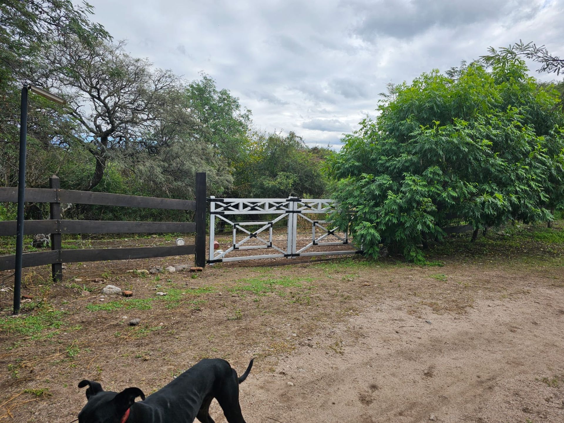 Miniatura 22 — Venta Casa / Chacra Chacra Los Molles