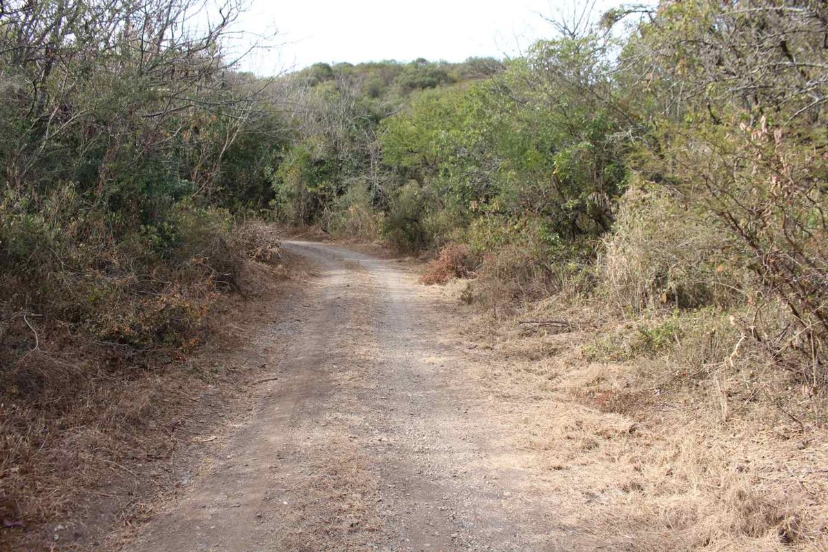 Vista principal de Terreno / Lote en Barrio Cosquin