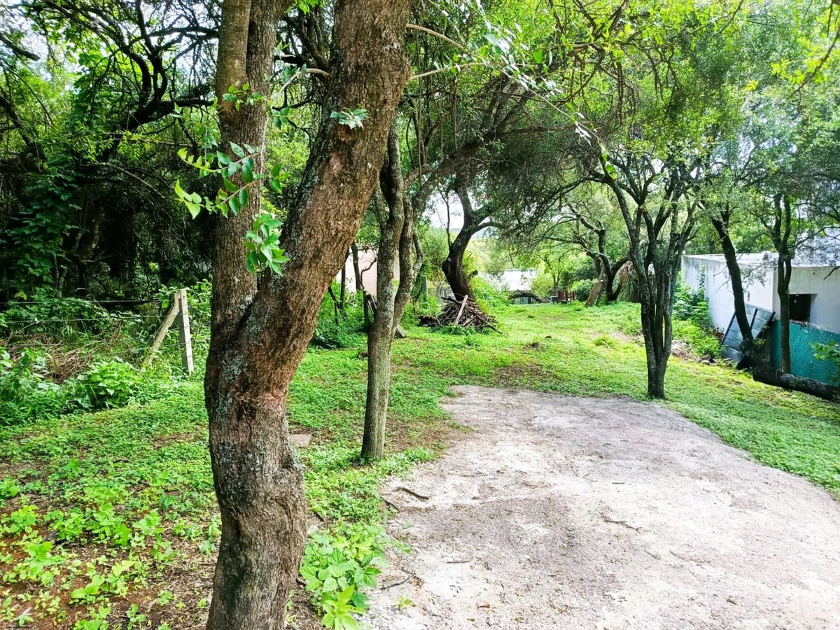 Miniatura 17 — Venta Lote con Platea Río Ceballos