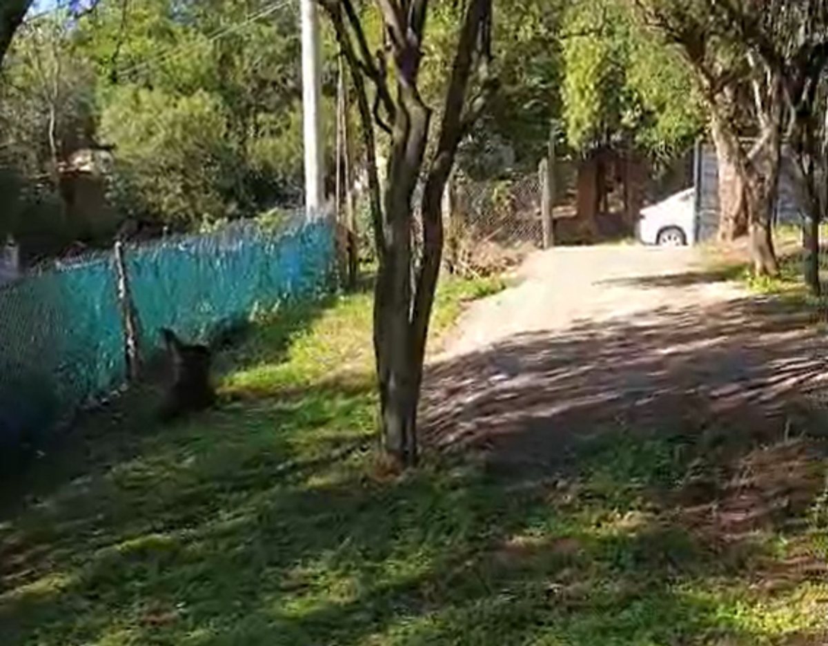 Miniatura 8 — Venta Lote con Platea Río Ceballos